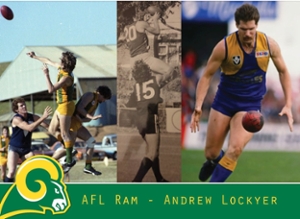 collage of 3 photos of AFL player Andrew Lockyer
